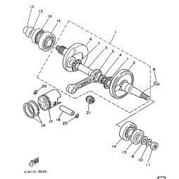 NUT (21W)