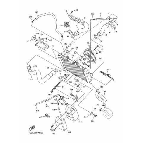 BOLT, FLANGE (732)