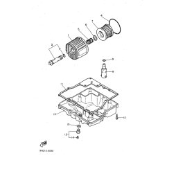 SCREW, BIND (537)
