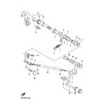 HALTER, FEDER