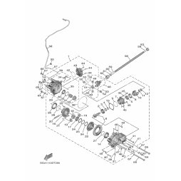 CASE, DIFFERENTIAL