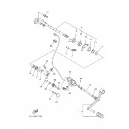 SHIFT SWITCH ASSY