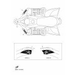 GRAPHIC 3