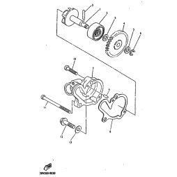 FLUEGELRADWELLE