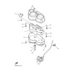 SENSIBILITAT,GESCHWINIG