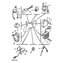 SIGNALHORN