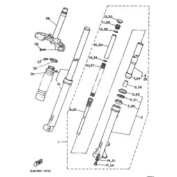 INNERES GABELBEINROHR 1