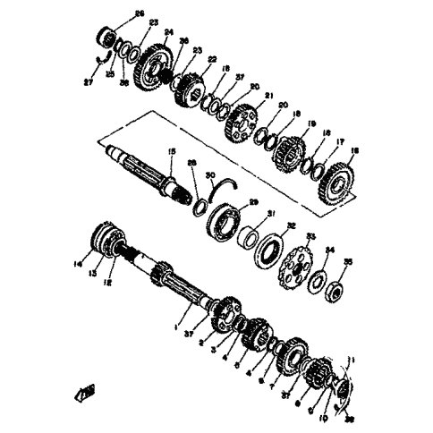 ZAHNRAD, 3. RITZEL