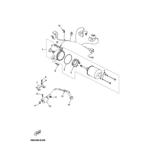 STAY, IGNITION COI
