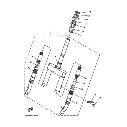 INNERES GABELBEINROHR 1