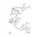 BODY, COWLING