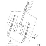 INNERES GABELBEINROHR 2