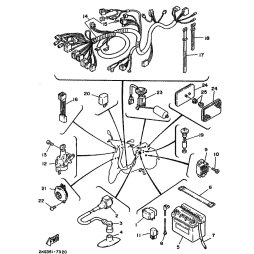 SIGNALHORN