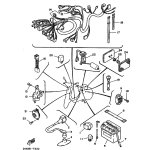 SIGNALHORN