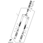 INNERES GABELBEINROHR 1