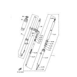 INNERES GABELBEINROHR 1