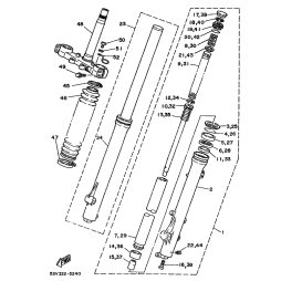 INNERES GABELBEINROHR 1