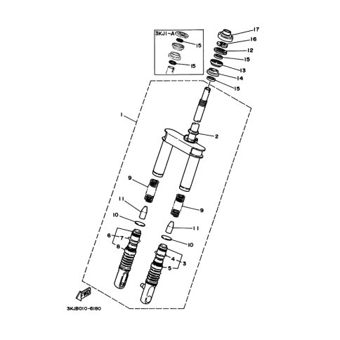 INNERES GABELBEINROHR 2
