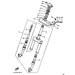 INNERES GABELBEINROHR 1