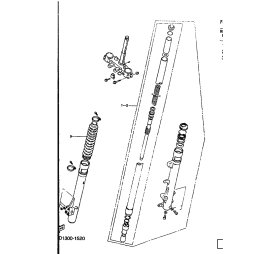 GABELBEIN (LINKS)