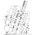 INNERES GABELBEINROHR 1