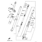 GABELBEIN (LINKS)