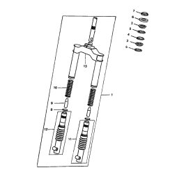 INNERES GABELBEINROHR 1