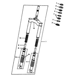 INNERES GABELBEINROHR 2