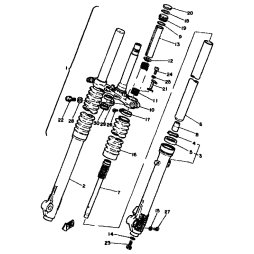 INNERES GABELBEINROHR 1