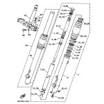 INNERES GABELBEINROHR 1