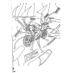 GRAPHIC 12