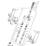 INNERES GABELBEINROHR 2