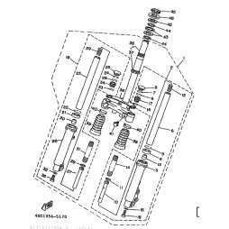 GABELBEIN (LINKS)