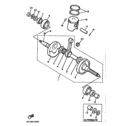 KOLBEN (0.25MM UG)