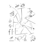 HALTER, SICHERUNG
