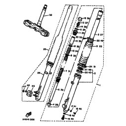 GABELBEIN (LINKS)