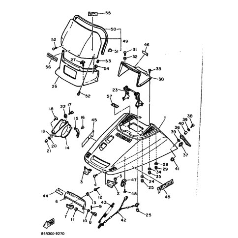 COVER, HEADLIGHT