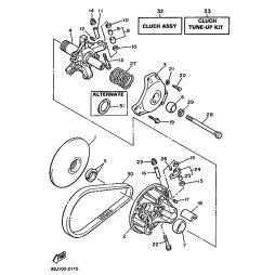 CLUTCH TUNE UP KIT (P)