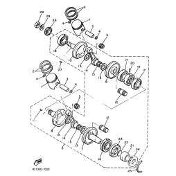 KOLBEN (0.25MM UG)