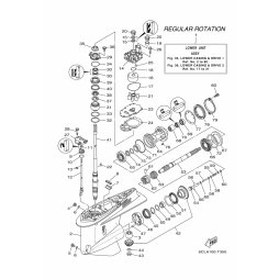 BOLT, WITH WASHER