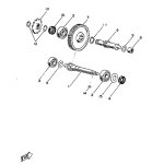 OIL SEAL