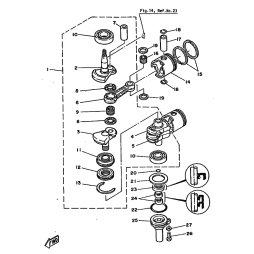 OIL SEAL