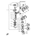 OIL SEAL