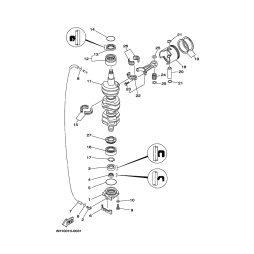 OIL SEAL