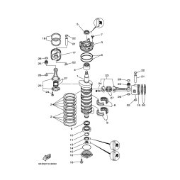 OIL SEAL (6E5)