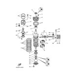 OIL SEAL (6E5)