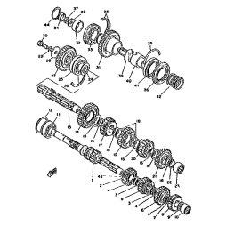 BRG,CYL-CAL ROLLER 48G TM