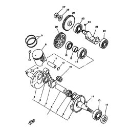PISTON & RING (STD)