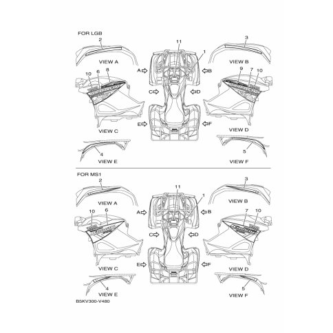 GRAPHIC, REAR (LH)