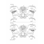 GRAPHIC, REAR (LH)
